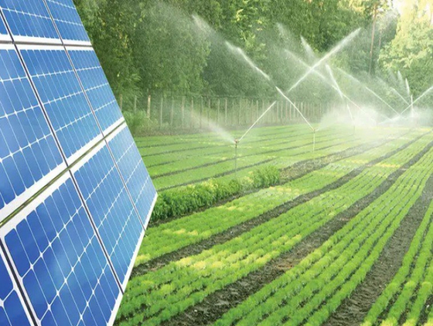 Kết hợp điện mặt trời với sản xuất nông nghiệp, triển vọng phát triển của năng lượng Việt Nam